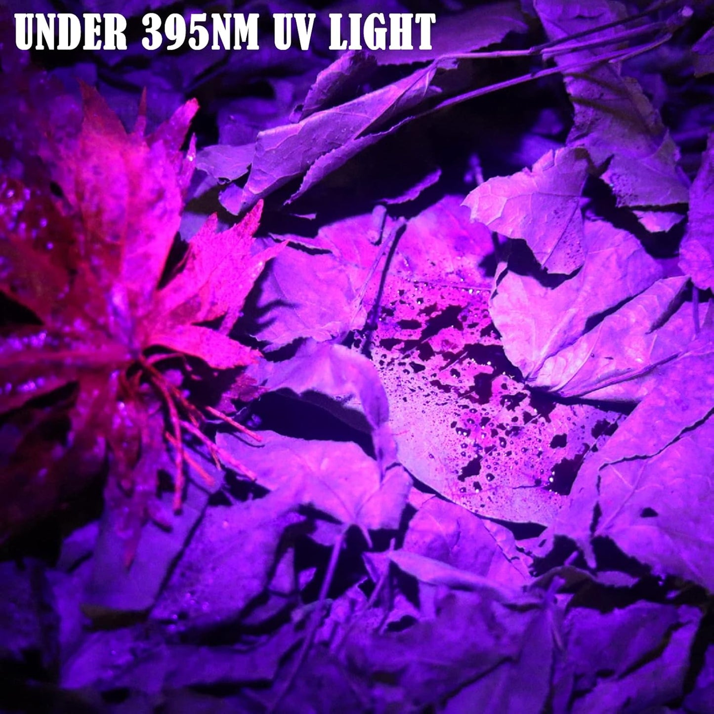 B2 Blood Tracking Light for Deer, Blood Tracker Flashlight for Hunting, Deer Hunting Accessories for Men