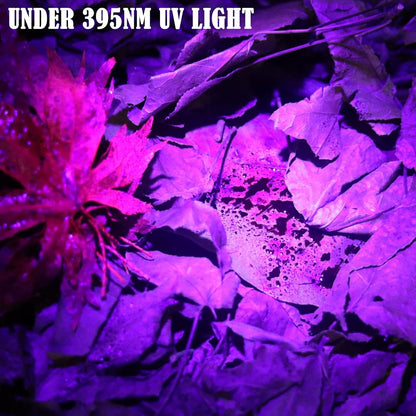 B2 Blood Tracking Light for Deer, Blood Tracker Flashlight for Hunting, Deer Hunting Accessories for Men