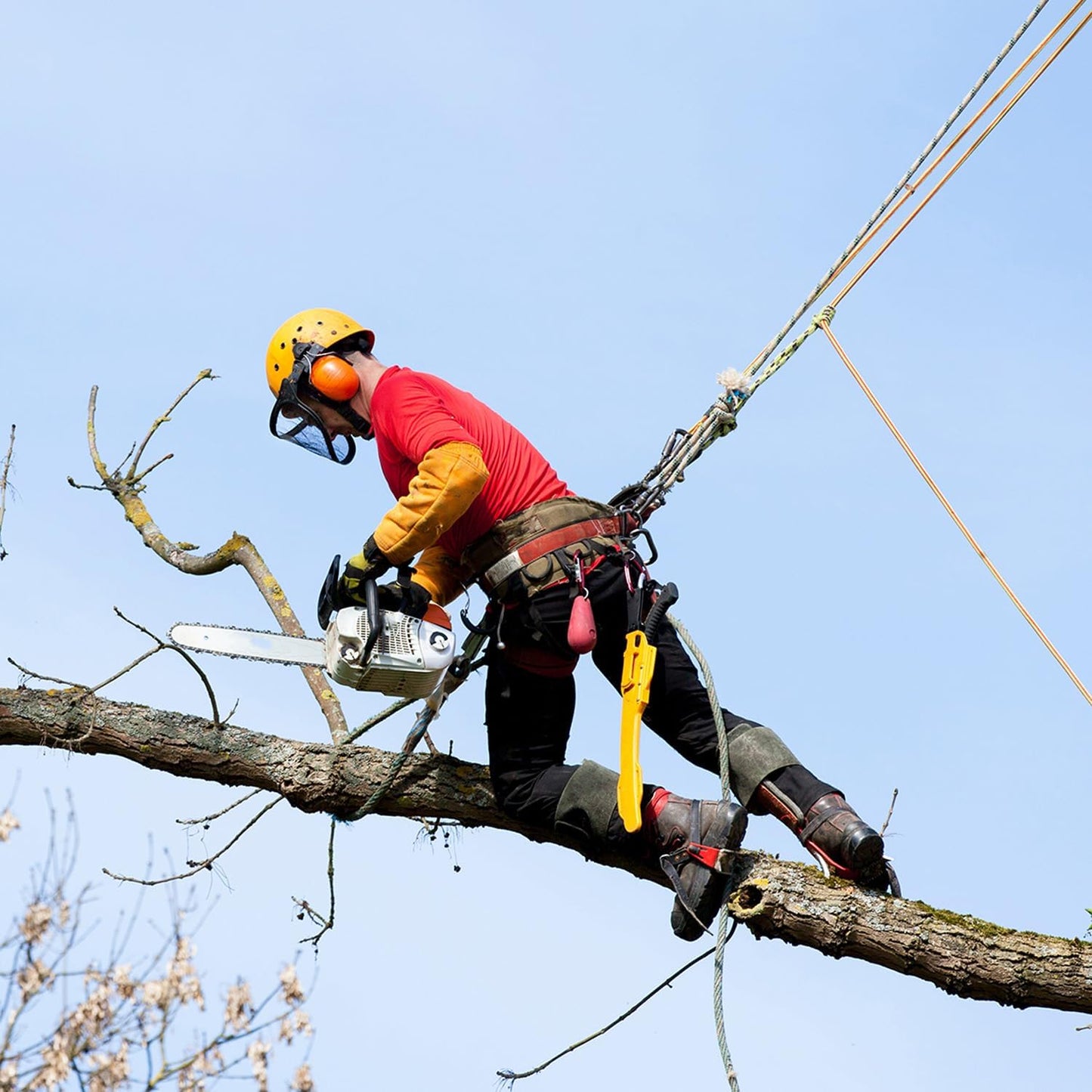 5/16 in x 15 FT Outdoor Rope for Marine, Hunting, Boating, Fishing, Rafting, Camping, Hiking, Anchor, Mooring, Floating, Dock Lines, Kayak, Canoe, Rescuing, Knotting Practice Black with Hook