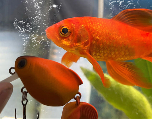 Luya Fake Fishing Bait Fishing Accessories